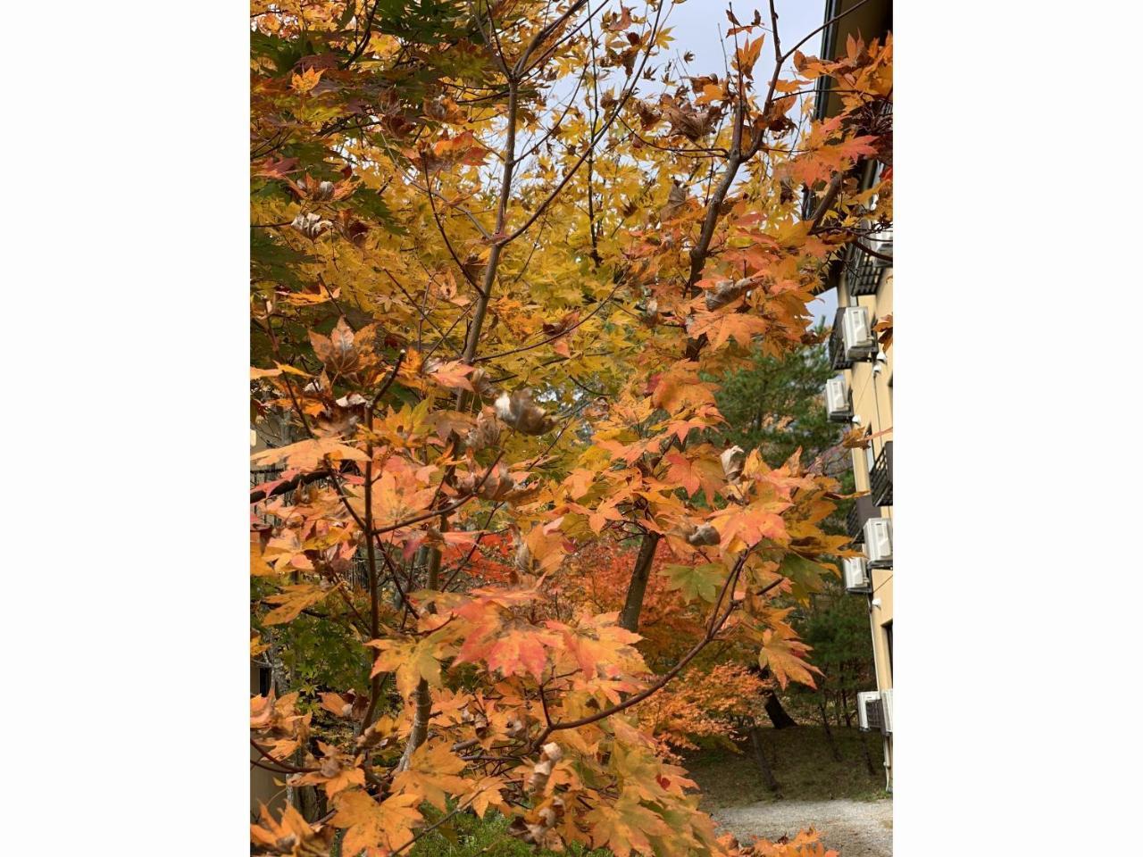 Отель Zao Shikitei Shiroishi  Экстерьер фото